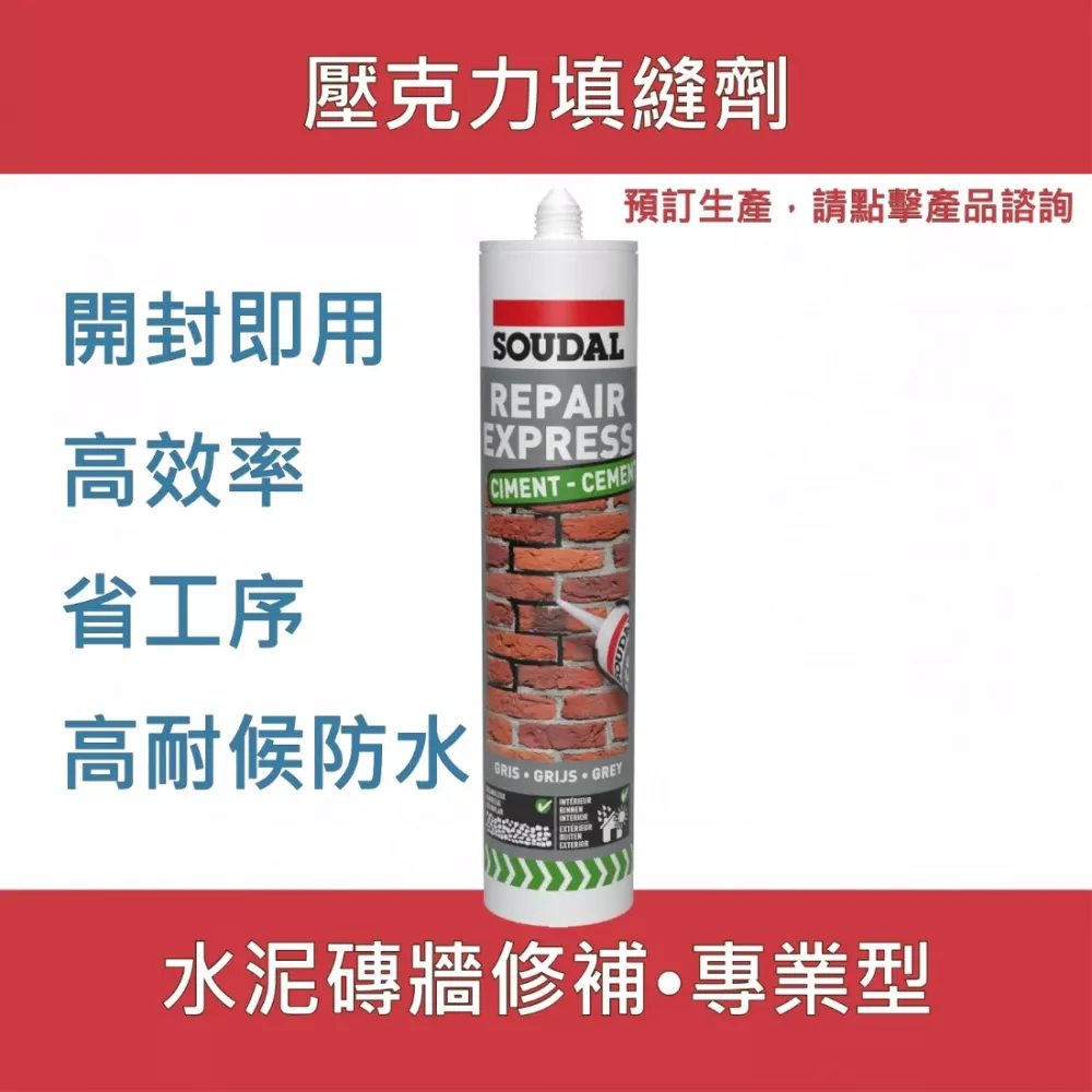 Repair Express Cement 水泥填縫劑