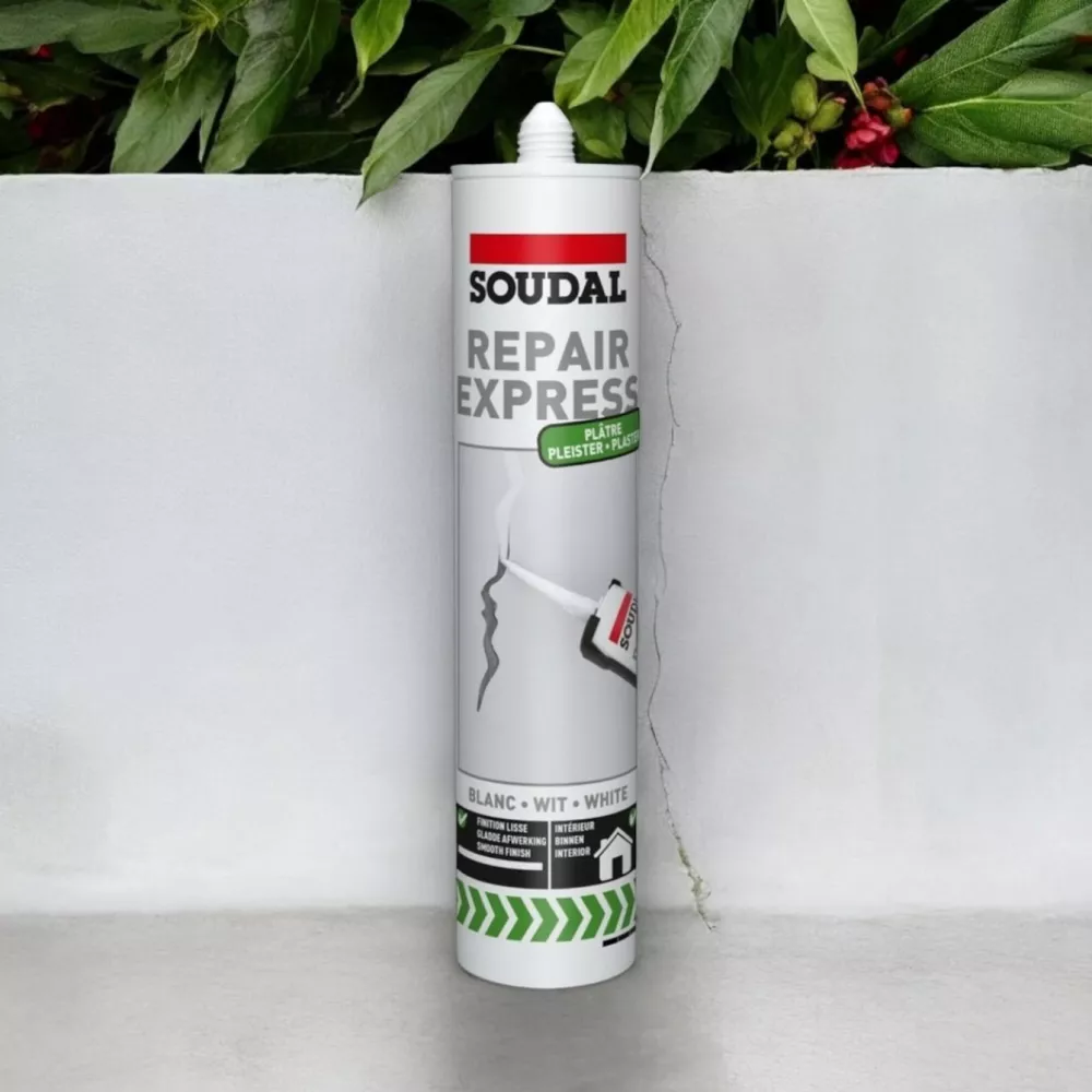 補牆膏 Repair Express Plaster 